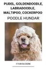 Finn Olsson - Pudel, Goldendoodle, Labradoodle, Maltipoo, Cockerpoo (Poodle Hundar)