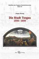 Jürgen Herzog, Torgauer Geschichtsverein, Torgauer Geschichtsverein - Die Stadt Torgau 1550-1650