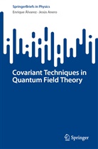 Enrique Álvarez, Jesús Anero - Covariant Techniques in Quantum Field Theory
