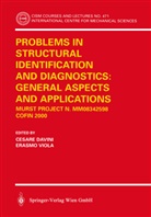 Cesare Davini, Viola, Erasmo Viola - Problems in Structural Identification and Diagnostics: General Aspects and Applications
