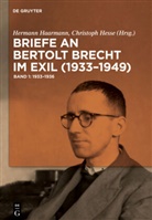 Hermann Haarmann, Hesse, Christoph Hesse - Briefe an Bertolt Brecht im Exil (1933-1949), 3 Bde.