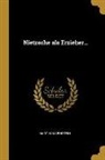Martin Havenstein - Nietzsche ALS Erzieher