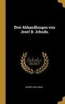 Joseph Ibn Aknin - Drei Abhandlungen Von Josef B. Jehuda