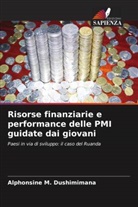 Alphonsine M. Dushimimana - Risorse finanziarie e performance delle PMI guidate dai giovani