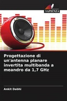 Ankit Dabhi - Progettazione di un'antenna planare invertita multibanda a meandro da 1,7 GHz