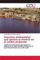 Jhosias Brayan Chavez Osorio - Impactos ambientales que genera la minería en el medio ambiente
