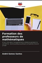 André Gomes Santos - Formation des professeurs de mathématiques