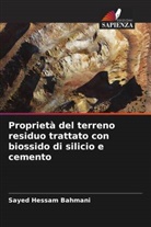 Sayed Hessam Bahmani - Proprietà del terreno residuo trattato con biossido di silicio e cemento