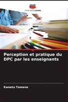 Ewnetu Tamene - Perception et pratique du DPC par les enseignants