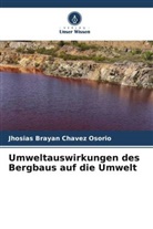 Jhosias Brayan Chavez Osorio - Umweltauswirkungen des Bergbaus auf die Umwelt