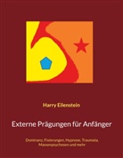 Harry Eilenstein - Externe Prägungen für Anfänger