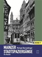Michael Bermeitinger - Mainzer Stadtspaziergänge VII
