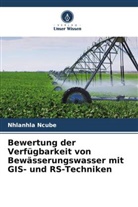 Nhlanhla Ncube - Bewertung der Verfügbarkeit von Bewässerungswasser mit GIS- und RS-Techniken