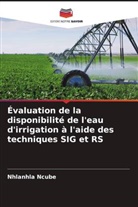 Nhlanhla Ncube - Évaluation de la disponibilité de l'eau d'irrigation à l'aide des techniques SIG et RS