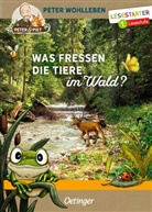 Stefanie Reich, Peter Wohlleben, Stefanie Reich - Was fressen die Tiere im Wald?