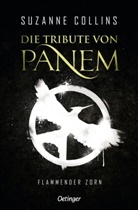 Suzanne Collins, Sylke Hachmeister, Peter Klöss - Die Tribute von Panem 3. Flammender Zorn