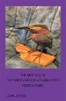 John Jones - The Mystics of the Green Heron