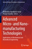 Chandra, Pranjal Chandra, Shrikrishna Nandkishor Joshi, Shrikrishna Nandkishor Joshi - Advanced Micro- and Nano-manufacturing Technologies