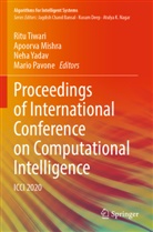 Apoorva Mishra, Mario Pavone, Ritu Tiwari, Neha Yadav, Neha Yadav et al - Proceedings of International Conference on Computational Intelligence