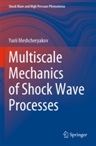 Yurii Meshcheryakov - Multiscale Mechanics of Shock Wave Processes