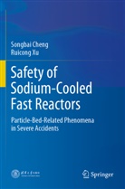 Songbai Cheng, Ruicong Xu - Safety of Sodium-Cooled Fast Reactors