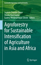 Jagdish Chander Dagar, Sharda Rani Gupta, Sharda Rani Gupta, Gudeta Weldesemayat Sileshi, Gudeta Weldesemayat Sileshi - Agroforestry for Sustainable Intensification of Agriculture in Asia and Africa