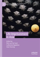 Catherine Appleton, Vucong Giao, Dirk van Zyl Smit, Giao Vucong, Dirk van Zyl Smit - Life Imprisonment in Asia