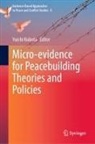 Yuichi Kubota - Micro-evidence for Peacebuilding Theories and Policies