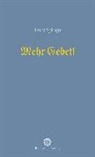 Franz Spirago - Mehr Gebet!