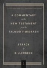 Paul Billerbeck, Strack, Hermann Strack, Jacob N Cerone, Jacob N. Cerone - Volume 1, Matthew