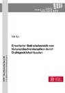 Yan Lu - Erweiterter Betriebsbereich von Naturumlaufverdampfern durch Drahtgestrickeinbauten