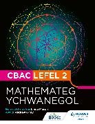 Andrew Ginty - CBAC Lefel 2 Mathamateg Ychwanegol(Welsh edition)