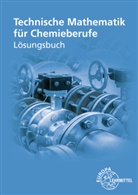 Henrik Althaus, Eckhard Ignatowitz, Holger Rapp - Lösungen zu 71314 Technische Mathematik für Chemieberufe Band 1