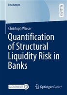 Christoph Wieser - Quantification of Structural Liquidity Risk in Banks