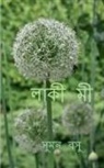 Suman Basu - Lucky Me / &#2482;&#2494;&#2453;&#2496; &#2478;&#2496