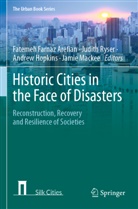 Fatemeh Farnaz Arefian, Andrew Hopkins, Andrew Hopkins et al, Jamie MacKee, Judith Ryser - Historic Cities in the Face of Disasters