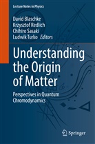 David Blaschke, Krzysztof Redlich, Chihiro Sasaki, Chihiro Sasaki et al, Ludwik Turko - Understanding the Origin of Matter