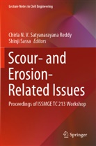 Chirla N V Satyanarayana Reddy, Chirla N. V. Satyanarayana Reddy, Chirla N.V. Satyanarayana Reddy, Sassa, Shinji Sassa - Scour- and Erosion-Related Issues
