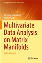 Michele Gallo, Nickolay Trendafilov - Multivariate Data Analysis on Matrix Manifolds