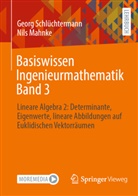 Nils Mahnke, Georg Schlüchtermann - Basiswissen Ingenieurmathematik Band 3