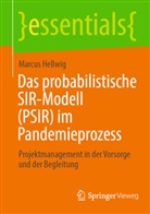 Marcus Hellwig - Das probabilistische SIR-Modell (PSIR) im Pandemieprozess