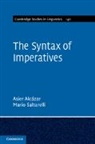 Asier Alcazar, Asier (University of Missouri Alcazar, Asier Alcázar, Mario Saltarelli, Saltarelli Mario - The Syntax of Imperatives