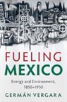 Germán Vergara, German (Georgia Institute of Technology) Vergara - Fueling Mexico