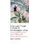 Pedram Dibazar - Urban and Visual Culture in Contemporary Iran