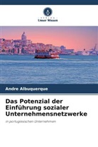 André Albuquerque - Das Potenzial der Einführung sozialer Unternehmensnetzwerke