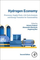 Antonio (Professor Scipioni, Alessandro Manzardo, Alessandro (Department of Industrial Engineering Manzardo, Jingzheng Ren, Jingzheng (Assistant Professor Ren, Antonio Scipioni... - Hydrogen Economy