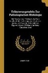 Julius Vogel - Erläuterungstafeln Zur Pathologischen Histologie: Mit Vorzüglicher Rücksicht Auf Sein Handbuch Der Pathologischen Anatomie: Sechs Und Zwanzig Tafeln M