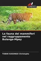 Tubar Kasongo Christophe - La fauna dei mammiferi nel raggruppamento Bulanga-Mpey