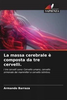 Armando Barraza - La massa cerebrale è composta da tre cervelli.
