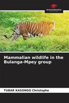 Tubar Kasongo Christophe - Mammalian wildlife in the Bulanga-Mpey group